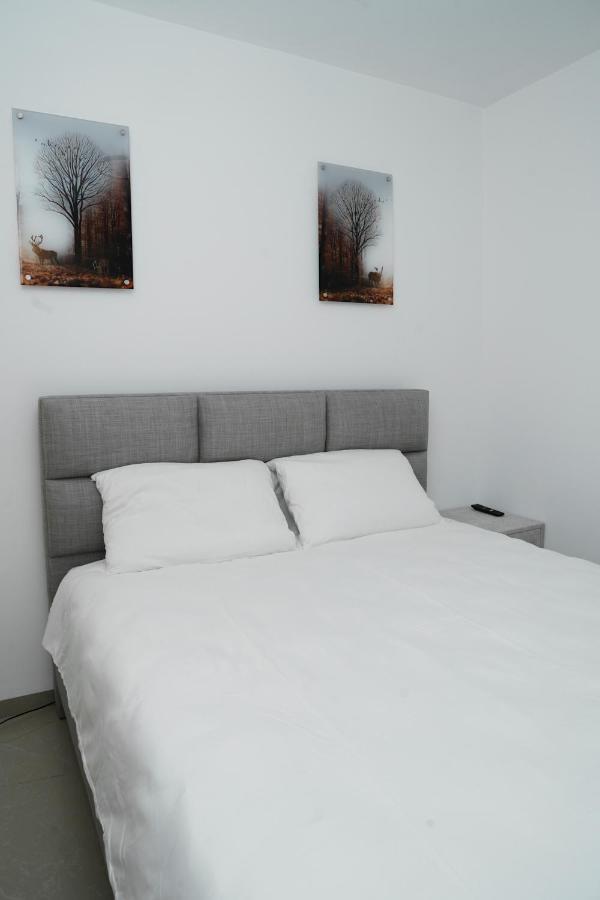 Appartement The Location In *