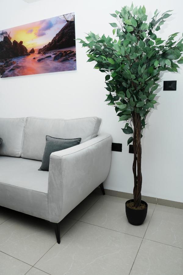 The Location In Appartement *